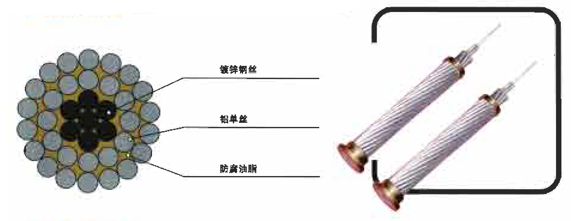 鋼芯鋁絞線、防腐鋼芯鋁絞線